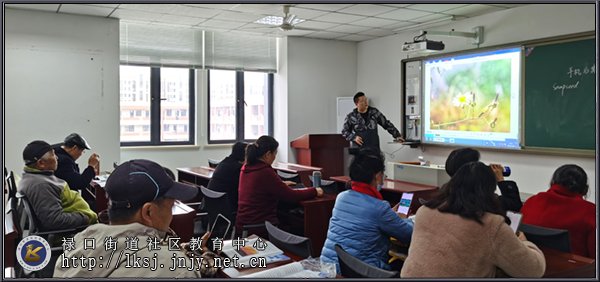 20230329江宁老年开放大学禄口街道学习中心举办手机摄影培训活动03.jpg