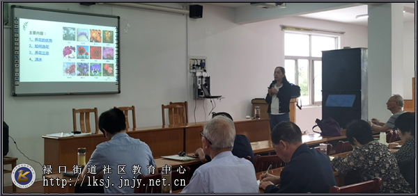 20230927禄口街道社区教育中心开展家庭花卉养护专题培训03.jpg