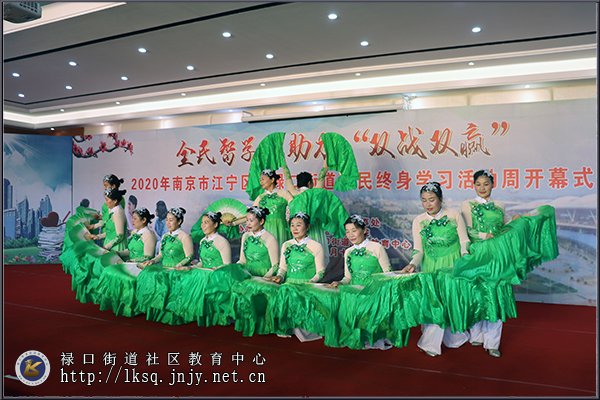20201112南京市江宁区暨禄口街道2020年全民终身学习活动周开幕式在禄口举行09.jpg