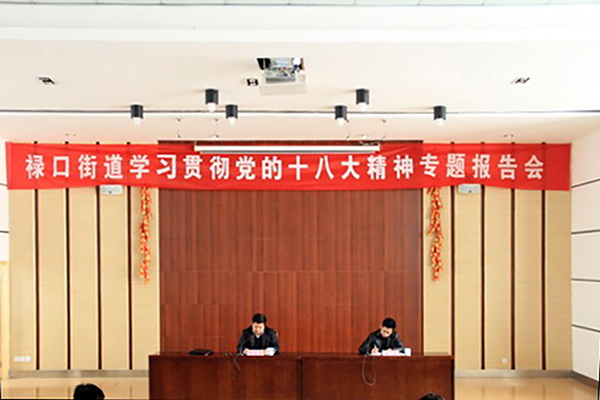 20121127禄口专题报告会掀起学习贯彻十八大新热潮03.jpg