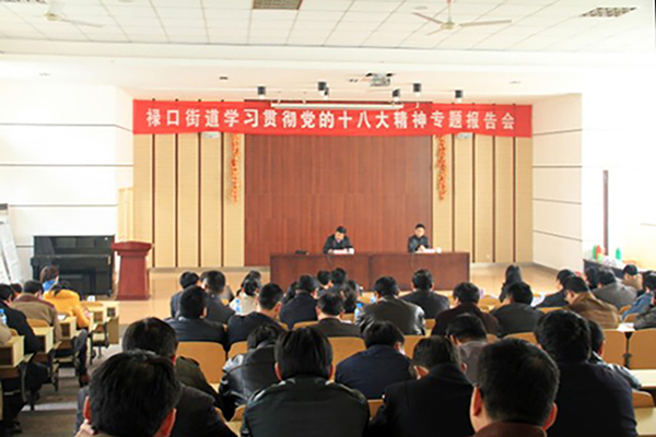 20121127禄口专题报告会掀起学习贯彻十八大新热潮04.jpg