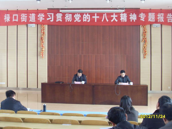 20121124学习十八大精神，建设学习型街道——“禄口讲堂”举办学习十八大精神首场专题报告会03.jpg