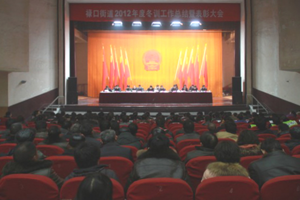 20130225禄口借力党员冬训传递科学发展正能量03.jpg