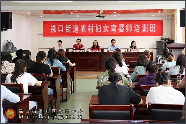 20190713禄口街道社区教育中心举办农村妇女育婴师培训班01.jpg