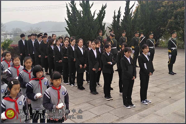 20190405禄口街道多所学校联合举行清明祭扫活动01.jpg