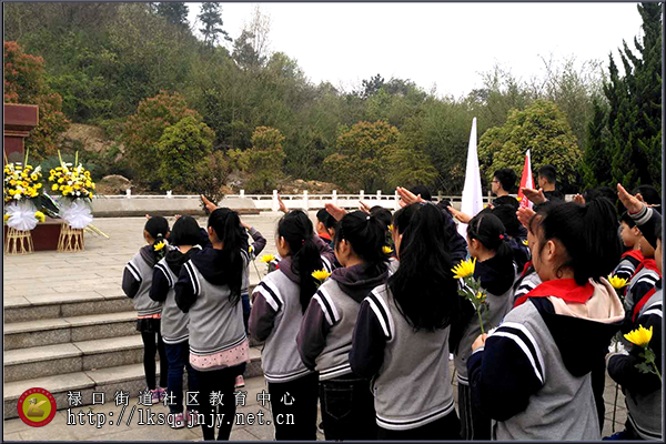 20190405禄口街道多所学校联合举行清明祭扫活动02.jpg