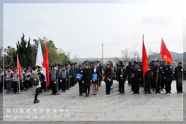 20170403“缅怀革命先烈，弘扬民族精神”，禄口开展清明祭扫活动01.jpg