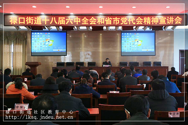 20161229禄口深入学习十八届六中全会和省市党代会精神01.jpg