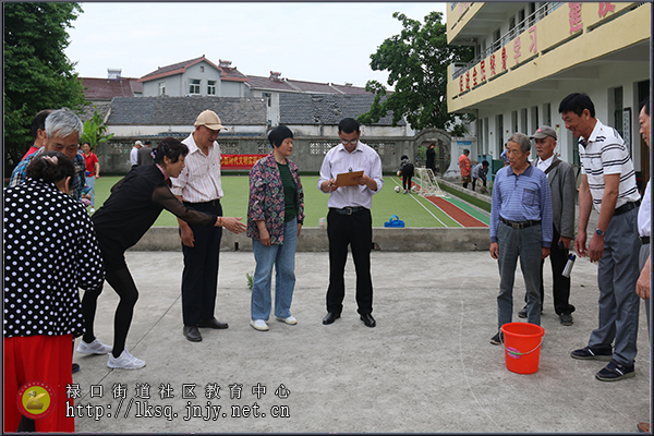 20190531禄口街道社区教育中心举办第七届老年人趣味运动会03.jpg