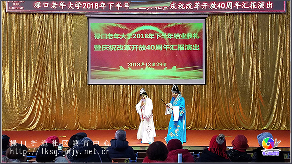 20181229禄口老年大学举办2018年下半年结业典礼暨庆祝改革开放40周年汇报演出活动14.jpg