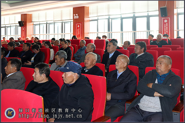 20201025禄口街道举办大型健康公益活动暨老人节主题教育活动02.jpg