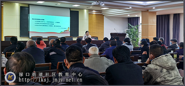 20210305禄口移动课堂走进石埝社区党员冬训课堂03.jpg