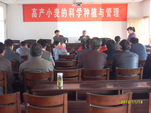 20121113小麦要高产增收，专家来传经送宝01.jpg