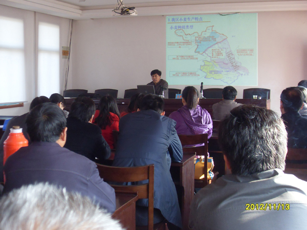 20121113小麦要高产增收，专家来传经送宝03.jpg