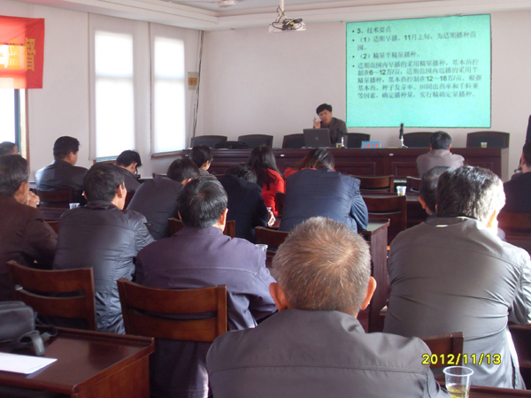 20121113小麦要高产增收，专家来传经送宝05.jpg