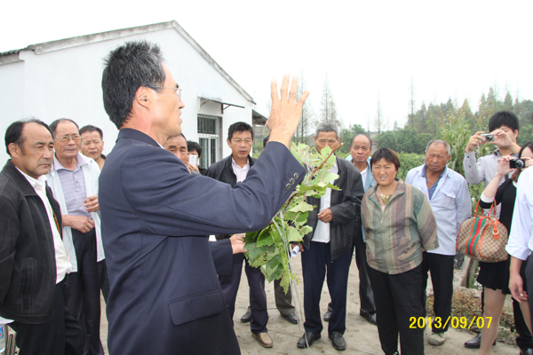 20130907禄口街道举办残疾人实用技术培训班04.jpg