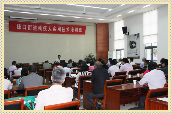 20140912禄口社区教育中心举办残疾人实用技术培训班01.jpg