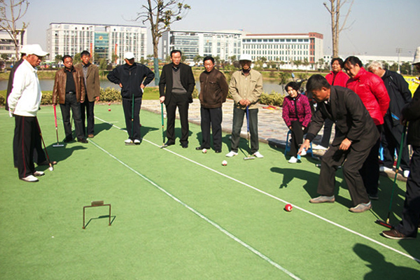 20121115禄口赴谷里举行老年门球友谊赛02.jpg