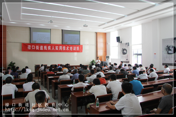 20150908禄口街道社区教育中心开展农村残疾人实用技术培训01.jpg