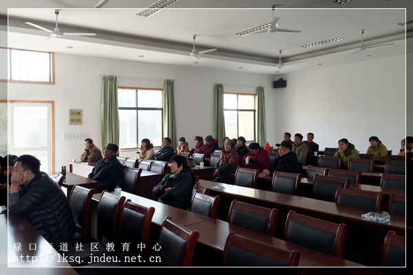 20160302禄口街道第二轮“弘扬社会主义核心价值观”宣讲活动走进杨树湾社区02.jpg