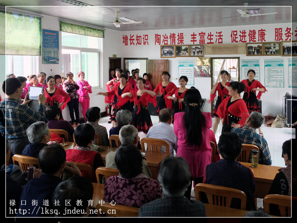 20160505禄口街道社区教育中心“送文艺到社区”活动纪实（彭福篇）13-2.jpg