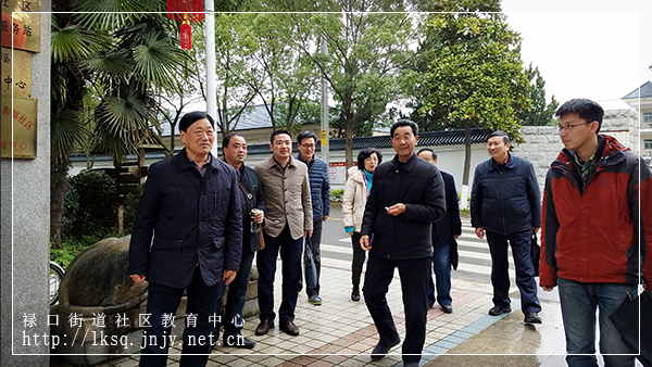 20170322区老教协领导走访调研禄口街道老年教育工作01.jpg