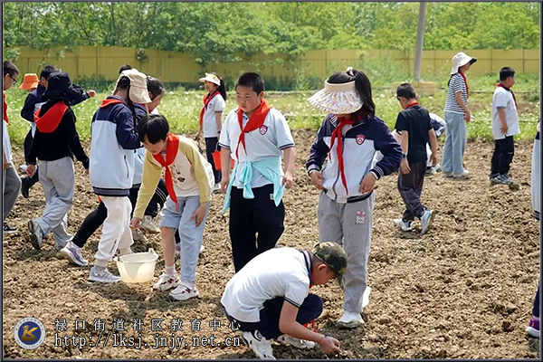 20240510禄口街道“南泥湾”青少年劳动教育实践基地深受欢迎04.jpg