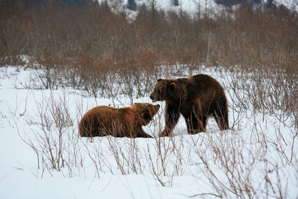 20150612戏说高考04.jpg 20150612戏说高考04.jpg