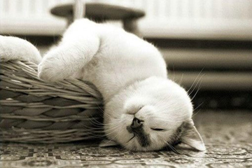 20140102中国人九大口头禅06.jpg 20140102中国人九大口头禅06.jpg