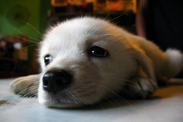 20140102中国人九大口头禅09.jpg 20140102中国人九大口头禅09.jpg