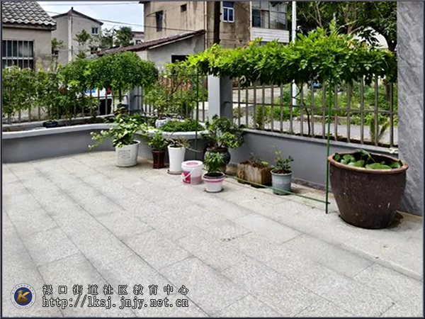 20240911：扮靓“美丽庭院”，提升乡村“颜值”01-2.jpg