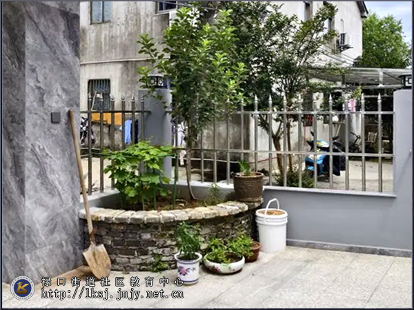 20240911：扮靓“美丽庭院”，提升乡村“颜值”01-4.jpg