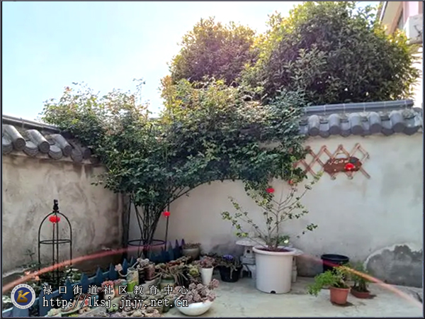 20240911：扮靓“美丽庭院”，提升乡村“颜值”03-2.jpg
