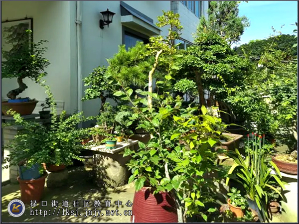 20240911：扮靓“美丽庭院”，提升乡村“颜值”05-3.jpg