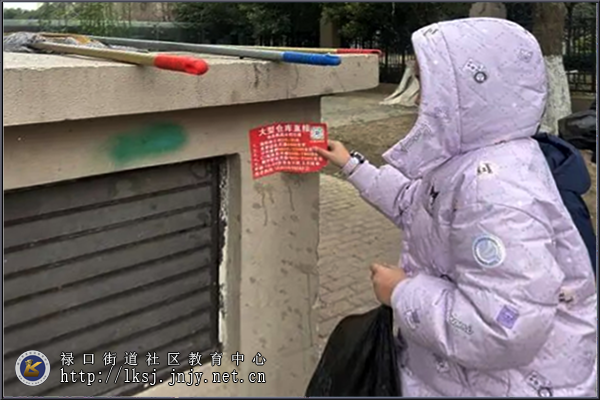 20250307:禄口街道群力社区:学雷锋,“童”行动03.png 20250307:禄口街道群力社区:学雷锋,“童”行动03.png