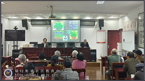 20250422：禄口街道上穆社区开展老年居民家庭绿植种养培训01.jpg