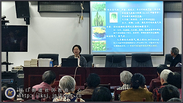 20250422：禄口街道上穆社区开展老年居民家庭绿植种养培训02.jpg