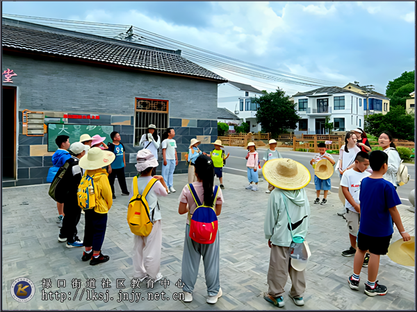 20250530：禄口街道群力社区：“群力之光，启梦未来”家校社共育项目惠及社区居民03-3.png